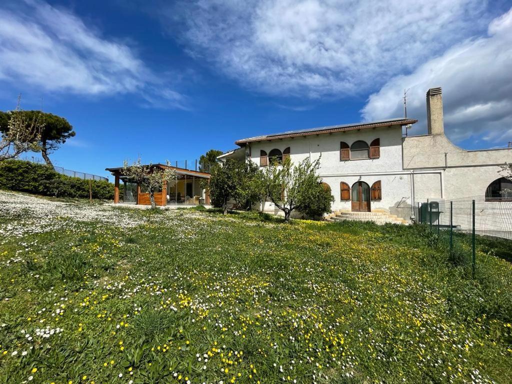 Frapippo Hotel Chieti Exterior photo