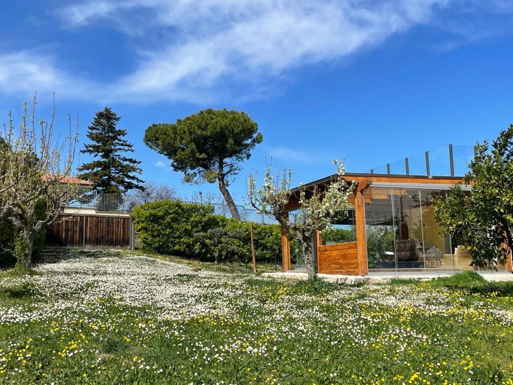 Frapippo Hotel Chieti Exterior photo