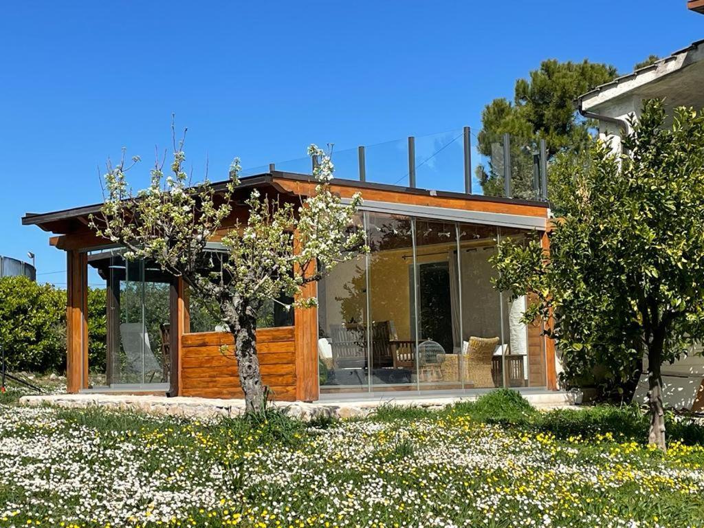 Frapippo Hotel Chieti Exterior photo